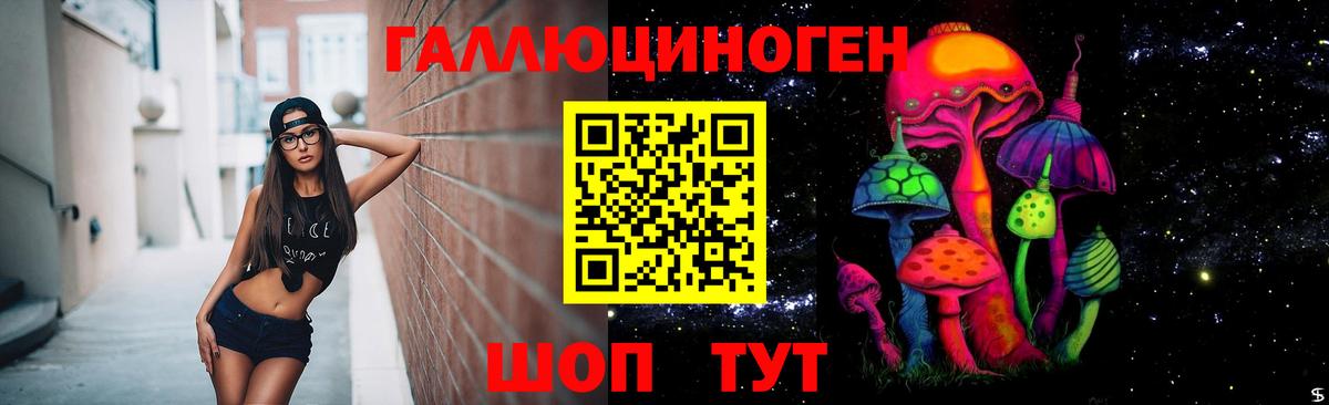 Псилоцибиновые грибы прущие грибы  Вход с VPN  Железногорск 